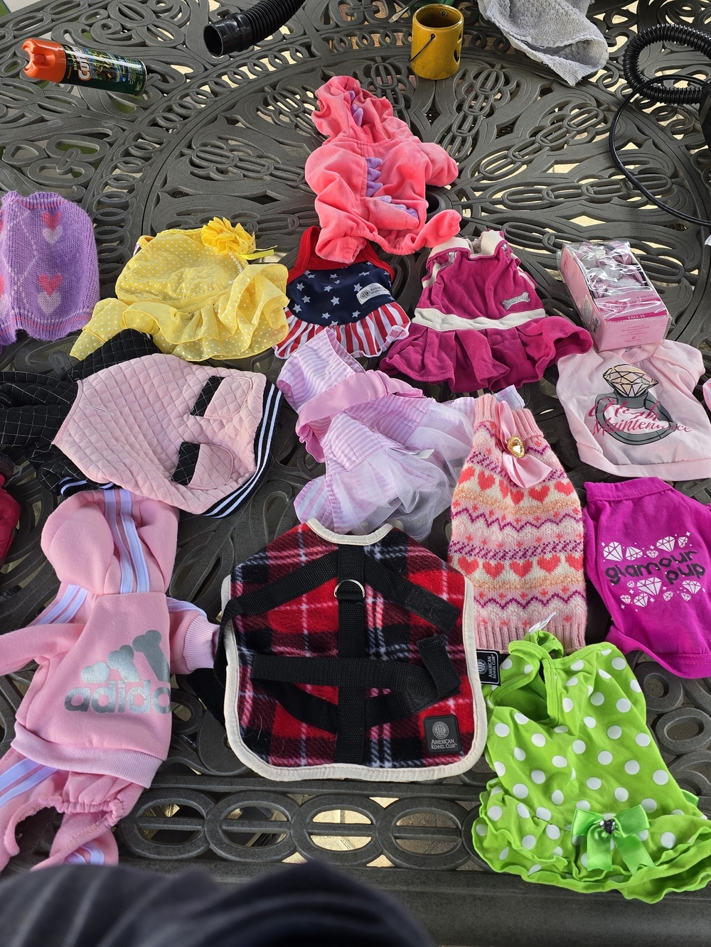 XS Assorted Puppy Girl (28) Outfits